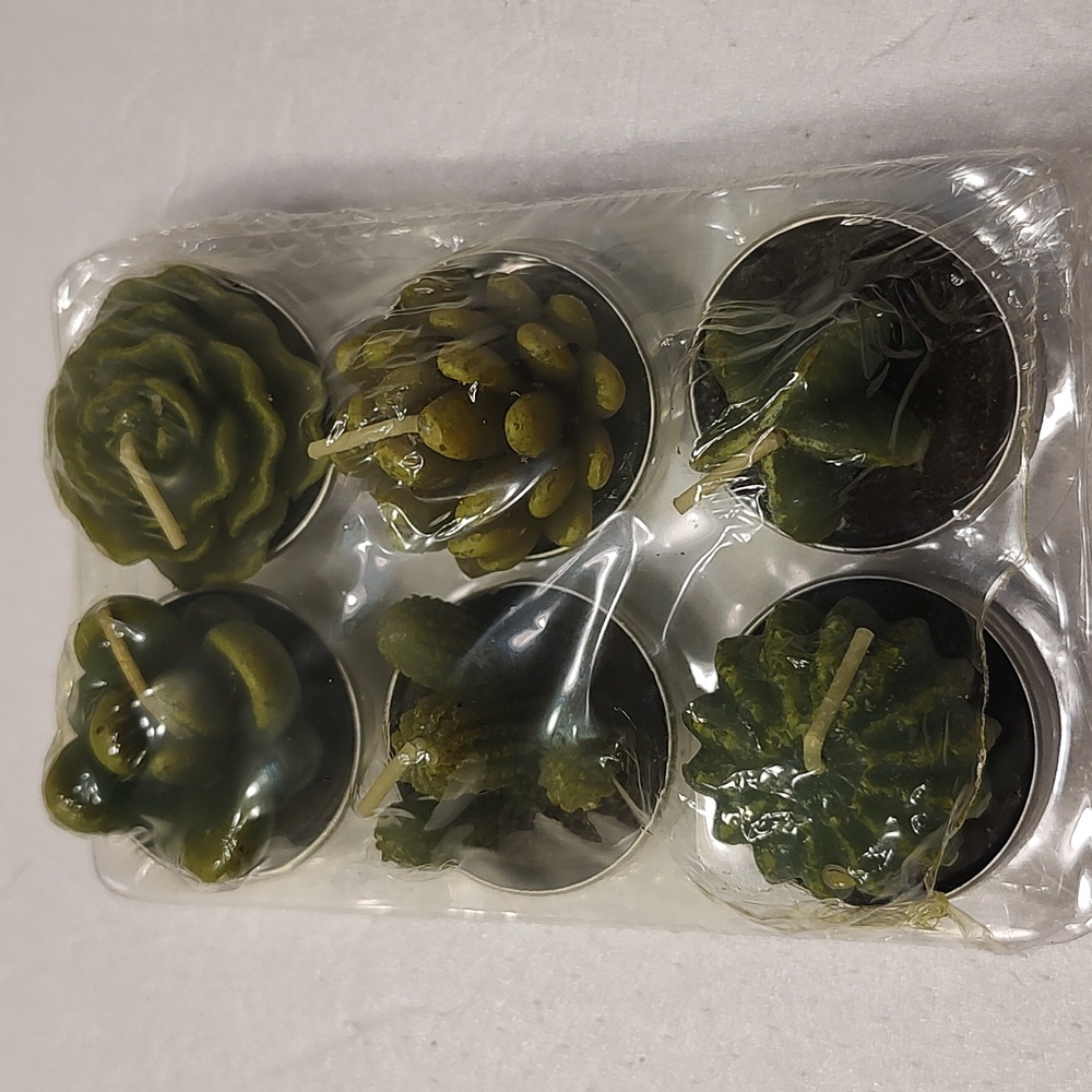 Cactus tea lights x 6
